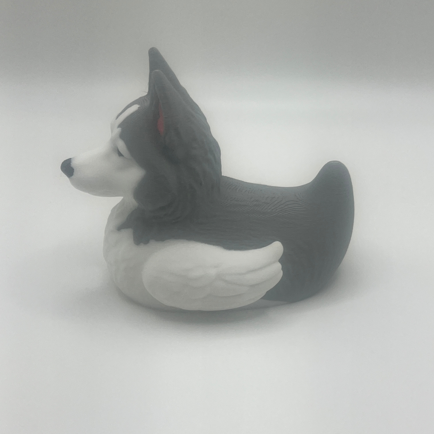 Siberian Husky Duck