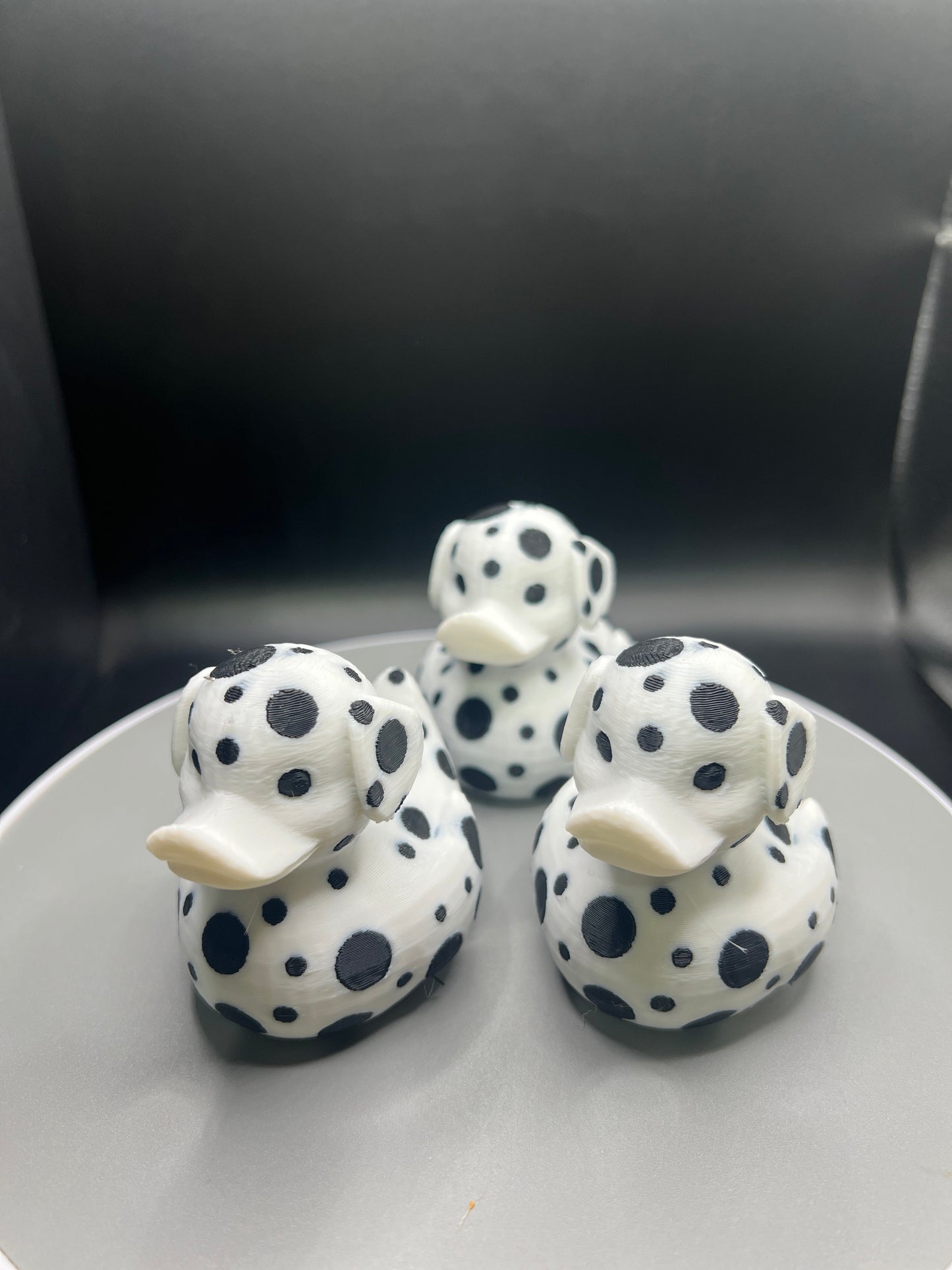 Dalmatian Duck