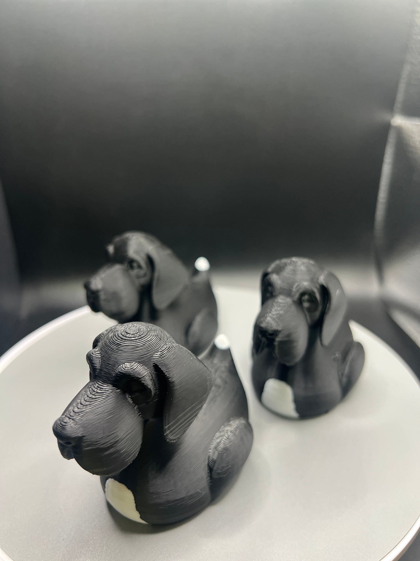 Great Dane Jeep Duck - Black/White