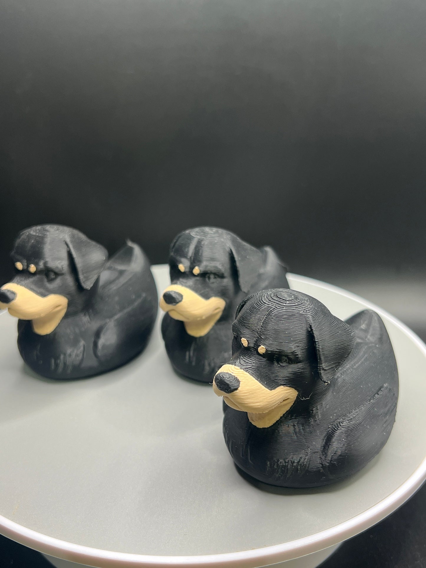 Rottweiler Jeep Duck