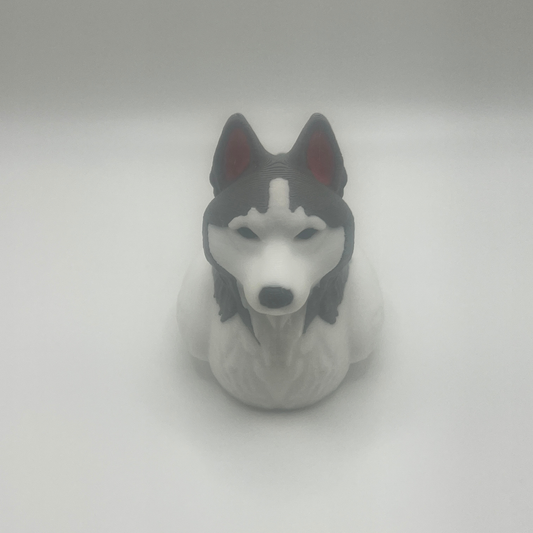Siberian Husky Duck