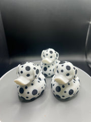 Dalmatian Duck