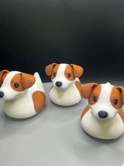 Jack Rusell Terrier Duck